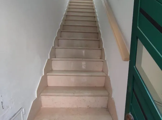 In Bloom 3* Terlizzi