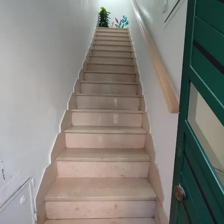 In Bloom 3* Terlizzi